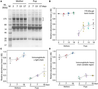 Is a Little Enough? Paucity of Immune Proteins in Serum of Precocial Neonates of a Marine Carnivoran—the Atlantic Grey Seal